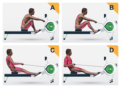 Rowing Machine work out